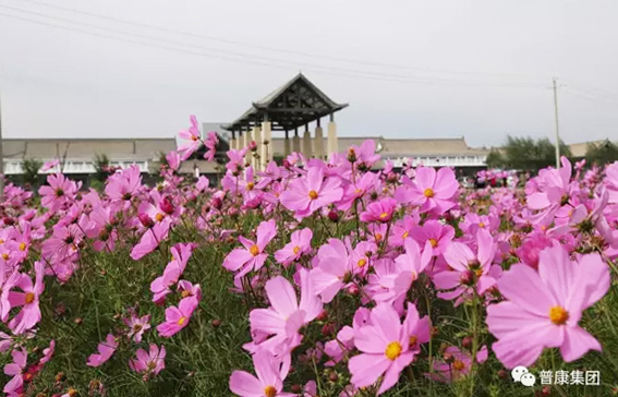 未标题-2.jpg 未标题-2.jpg