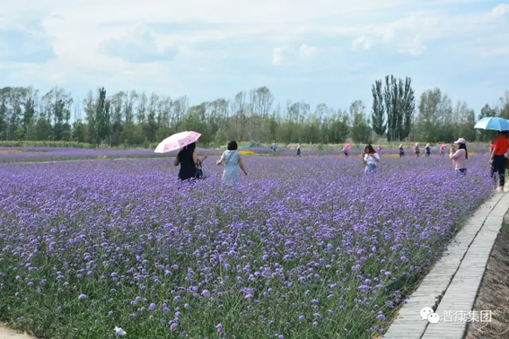 未标题-3.jpg 未标题-3.jpg